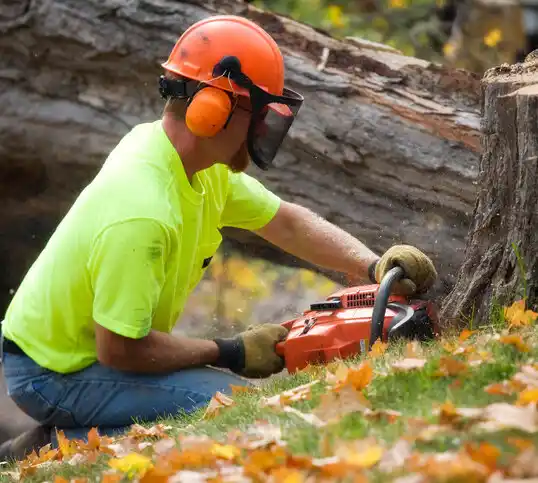 tree services Ballwin